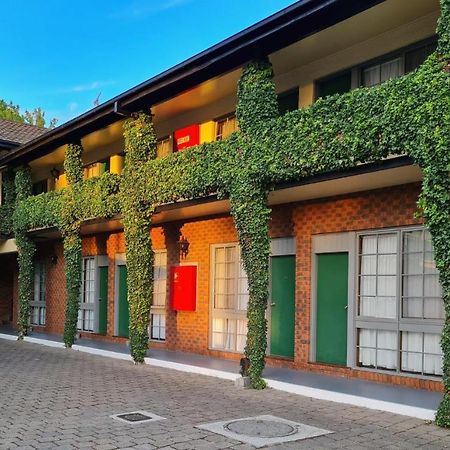 Seaton Arms Motor Inn Άλμπουρι Εξωτερικό φωτογραφία